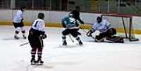 dgt_hockey (19)